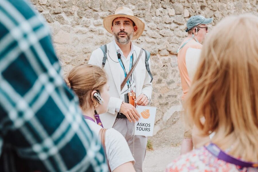 2-Hour Pompeii Child-Friendly Tour - House of the Faun and House of the Vettii: Two More Looks at Private Space