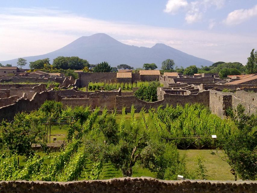 2-Hour Private Walking Tour of Pompeii - Pompeii’s Bakery Stop: The Roman Fast-Food Equivalent