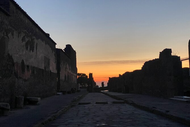 2 Hours Pompeii Group Tour with Archaeologist Guide and Skip the Line - Vicolo di Gladiatori and Fullonica di Stephanus: Gladiators, Work, and Roman Routine