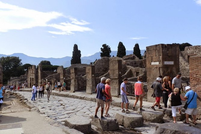 2 hours Pompeii Tour with Local Historian - Ticket Included - Pacing, Crowds, and Audio: How to Make It Comfortable
