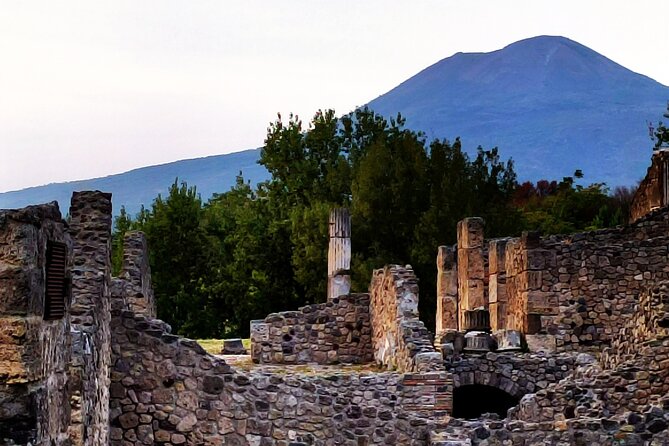 2 Hours Private Tour in Pompeii with Archaeologist - Praedia di Giulia Felice: spotting status in a private complex