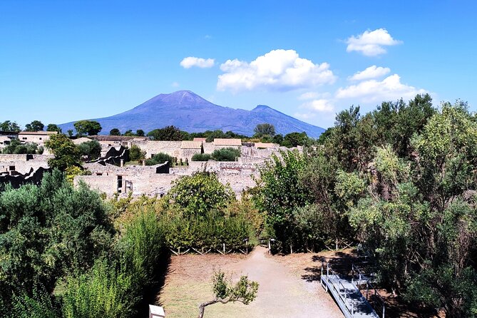 2 Hours Private Tour in Pompeii with Archaeologist - Orto dei Fuggiaschi: the orchard with the eruption victims