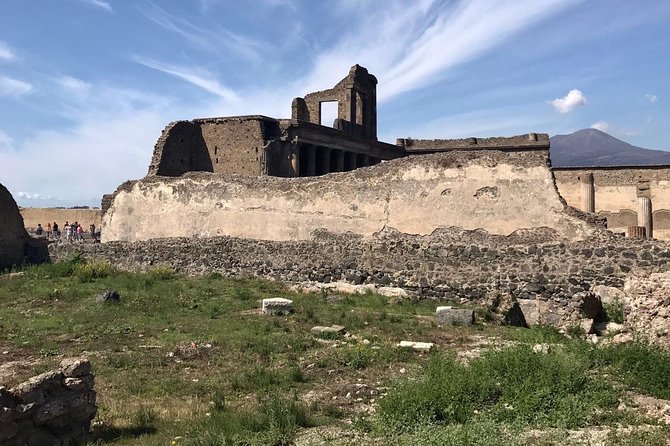 2 Hours Private Walking Tour in Pompeii with an Archaeologist - Where you meet and how the tour runs (so you don’t waste time)