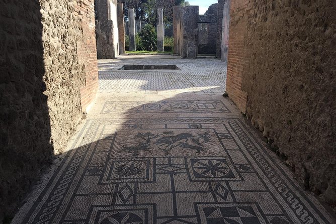 3-Hours Private Walking Tour in Pompeii with an Archaeologist - Why a private archaeologist matters in Pompeii