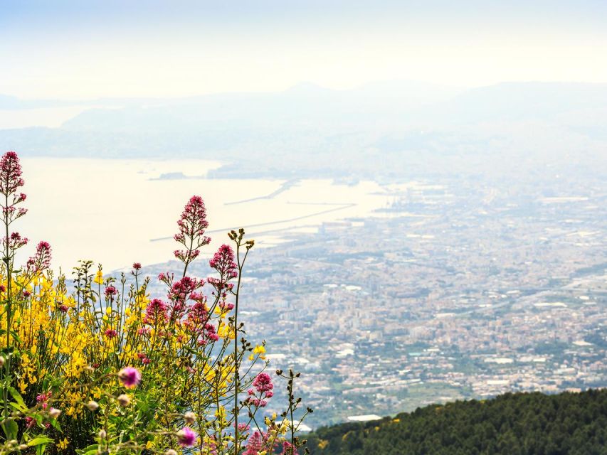 Combo Tour_Pompeii & Vesuvius - Pompeii Archaeological Park: using the audio guide to move fast
