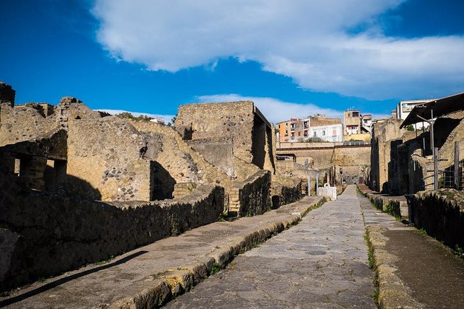 Exclusive Pompeii with Wine and Lunch on Vesuvius-Skip-the-line - Markets and public baths: where daily life becomes real