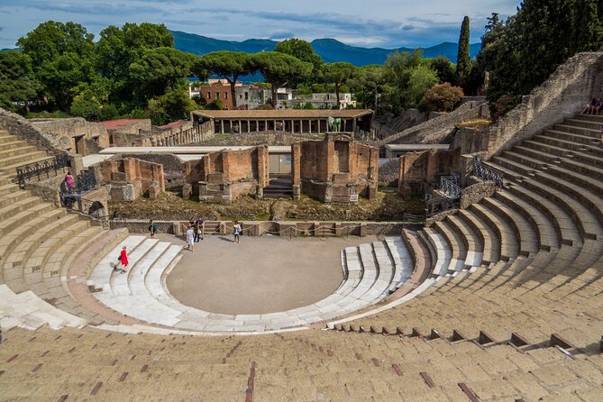 Exclusive Pompeii with Wine and Lunch on Vesuvius-Skip-the-line - Premium Plus: adding the Villa of Mysteries for the best fresco focus