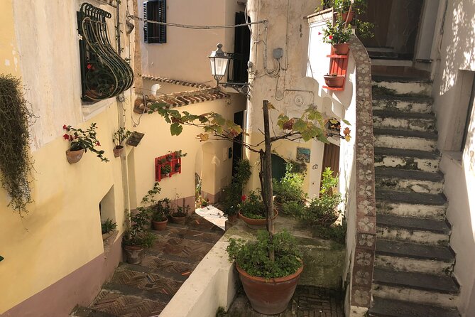 Exclusive Private Tour: Explore Pompeii and the Amalfi Coast - Sorrento: cliff town vibes with Naples and Vesuvius in the background