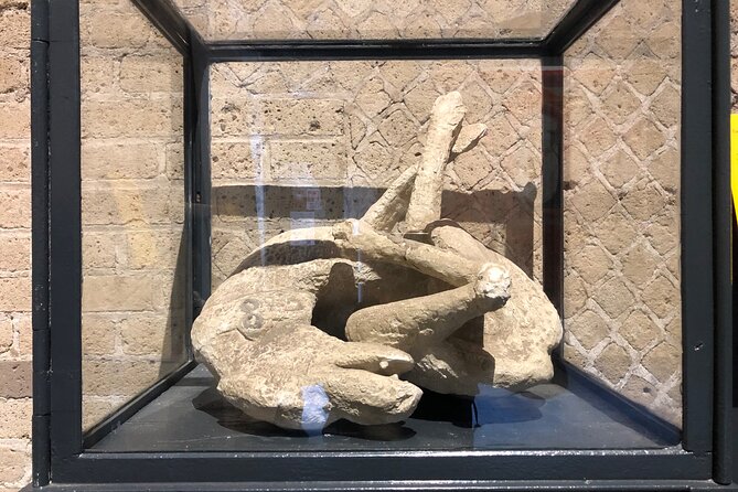 Exclusive Private Tour: Explore Pompeii and the Amalfi Coast - Vesuvius photo stops: the best reminder between worlds