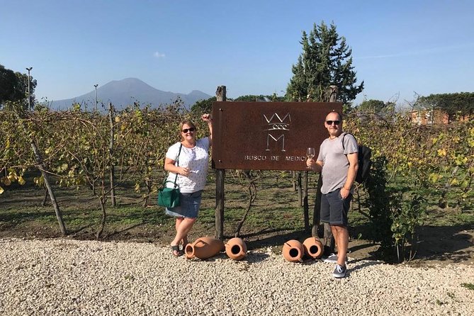 Explore Pompeii: Private Tour, Wine Tasting & Lunch - Price and value: what $216.26 buys and what costs extra