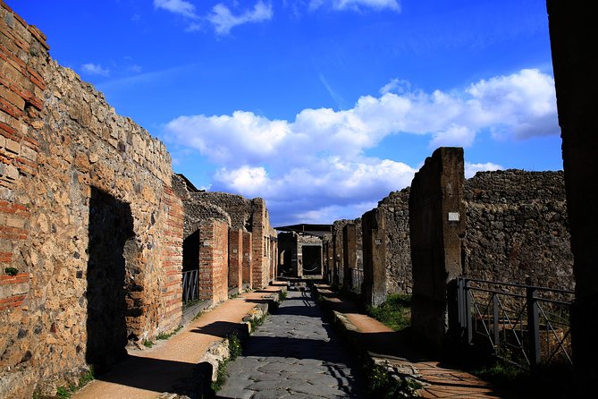 Fast Access Exclusive Private Ancient Pompeii Herculaneum & Oplontis Guided Tour - Parco Acheologico di Ercolano: 2 hours to see Herculaneum’s angle