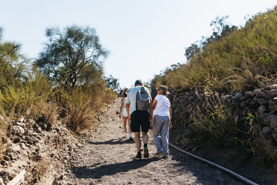 From Naples: All-Inclusive Mount Vesuvius Half-Day Tour - How much time you actually get at the top