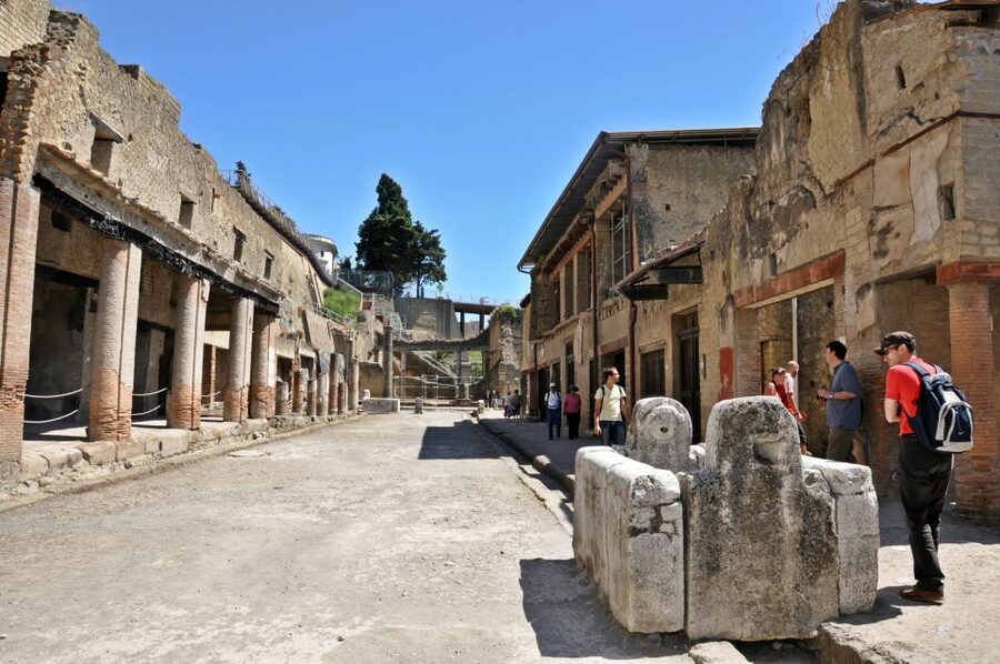 From Naples: Pompeii and Herculaneum VIP Tour with Lunch - Price and Logistics: Does $237.90 Deliver Value?