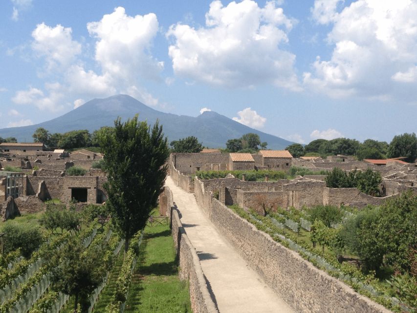 From Naples: Pompeii Ruins VIP Guided Tour - Why a Naples-to-Pompeii day trip works so well