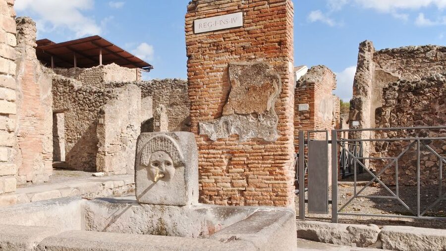 From Naples: Pompeii Ruins VIP Guided Tour - Skip-the-line entry and what that means on the ground