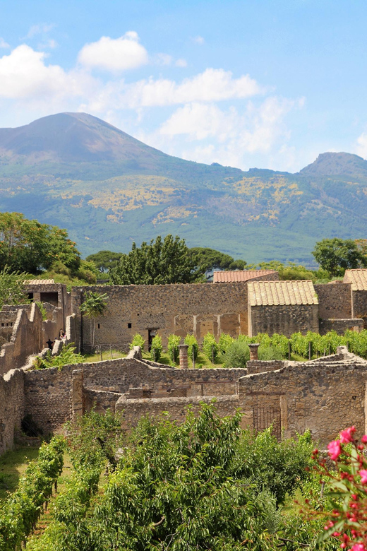 From Naples Port:Pompeii+Vesuvius tour - What to bring and how to plan your free time