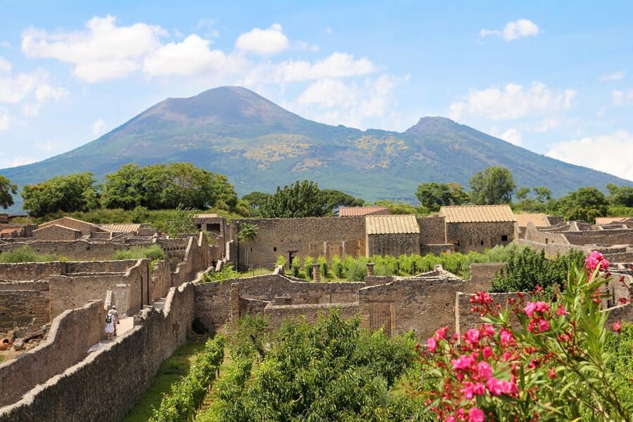 From Naples Port:Pompeii+Vesuvius tour - Vesuvius crater time: 90 minutes for views and photos