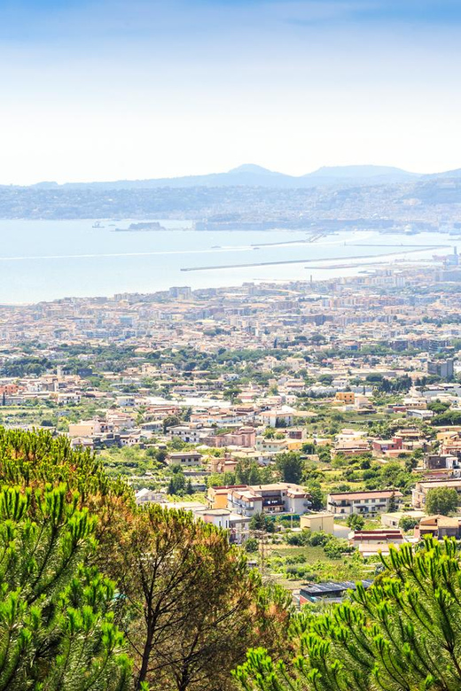 From Pompei: Mount Vesuvius Sunset Trip with Entry Ticket - Price and value: is $46 a fair deal