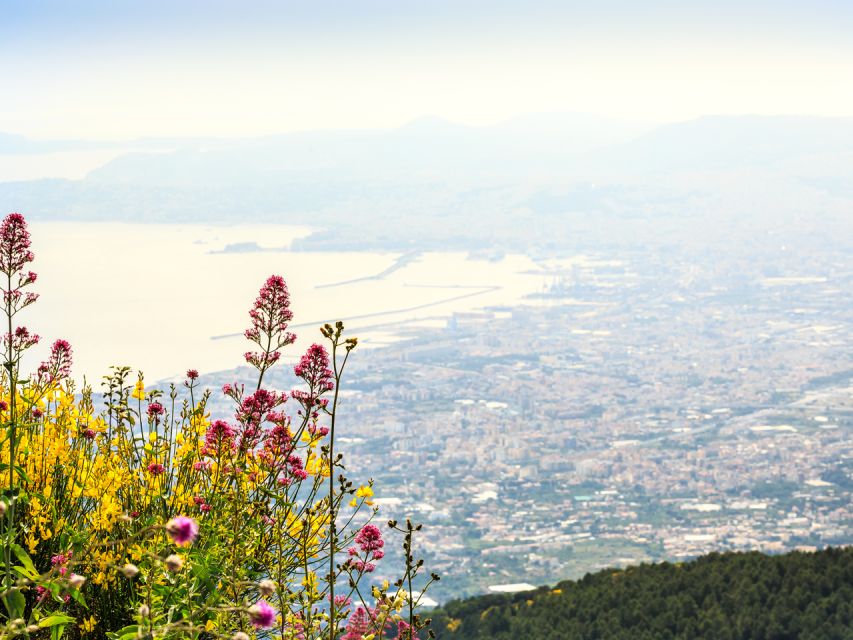 From Pompeii: Bus Transfer to Vesuvius with Park Entry Fee - The 40-Minute Minibus Ride Up: Comfortable, Scenic, and Not Always Quiet