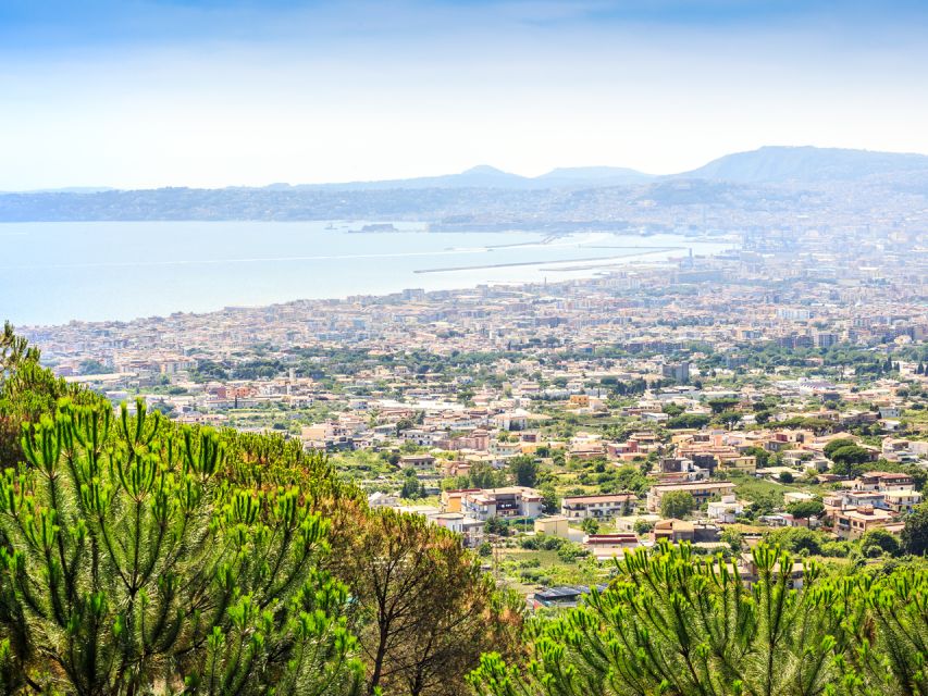 From Pompeii: Bus Transfer to Vesuvius with Park Entry Fee - Timing Reality Check: 1.5 Hours Can Be Just Right or Just Tight