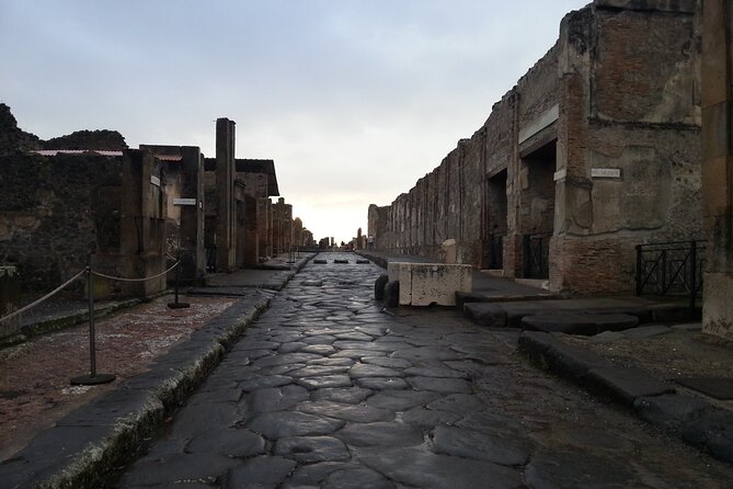 From Pompeii: Day Tour of Pompeii and Vesuvius with Bus Transfer - The pace in Pompeii: radios, headsets, and staying with the group