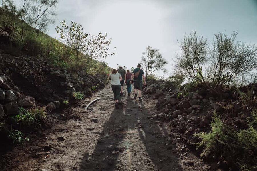 From Pompeii: Mount Vesuvius Guided Tour with Transfer - How long the tour really feels: 3 hours with a clear structure