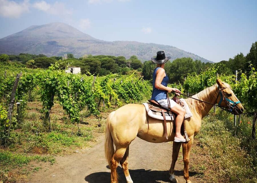 From Pompeii: Mount Vesuvius Horseback Riding Tour - Language and Group Size: Why It Feels Manageable