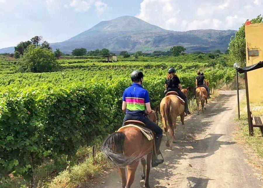 From Pompeii: Mount Vesuvius Horseback Riding Tour - Ranch Warm-Up: Animals First, Then Horses