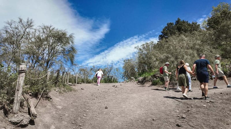 From Pompeii: Mount Vesuvius with bus, ticket and audioguide - Who this tour suits best