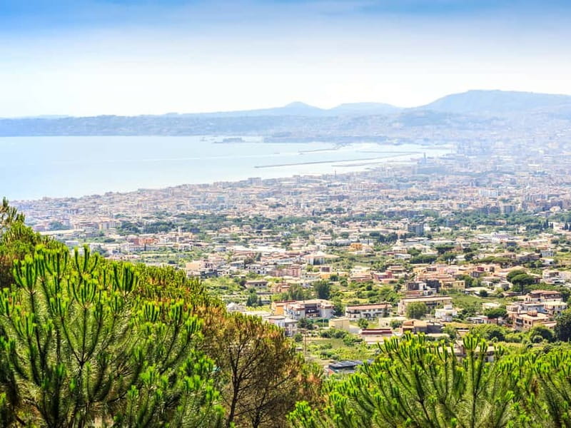 From Pompeii: Mt. Vesuvius Hike & Tour by Bus - Vesuvio National Park: your 90-minute window