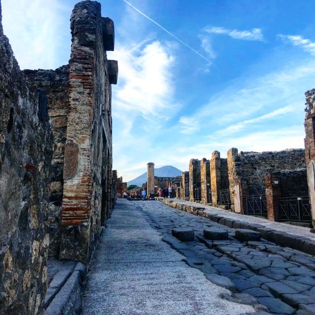 From Positano: Pompeii Ruins Small Group Guided Tour - Practical Tips Before You Go