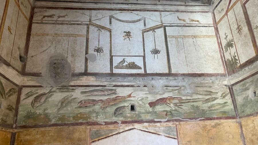 From Positano: Pompeii & Vesuvius tour small group - What you’ll see in Pompeii: not just ruins, but routines