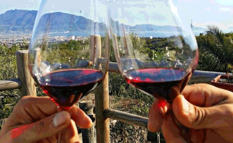 From Sorrento: Skip-the-Line Pompeii Tour and Vineyard Lunch - Language and who this tour fits best