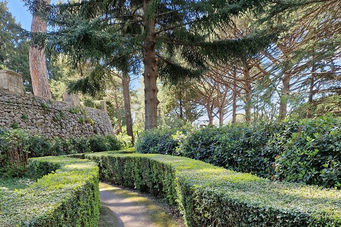 Full Day Private Tour of Pompeii and the Amalfi Coast - Drivers and Guide Choices: The Human Factor You’ll Feel