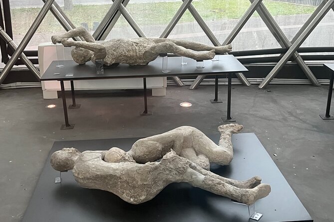 Full Day Private Tour to Pompeii, Herculaneum and Oplontis - Price and value: what you’re paying for (and what you still must budget)