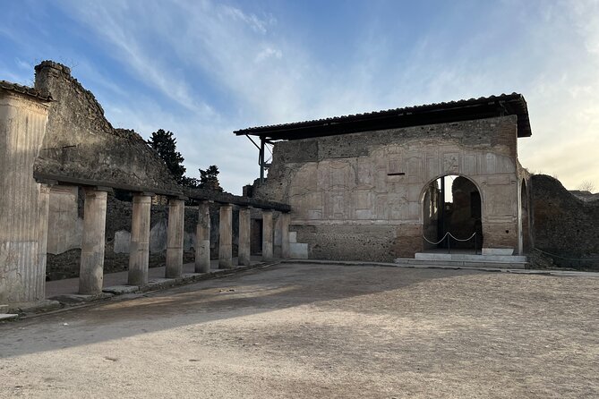 Full Day Private Tour to Pompeii, Herculaneum and Oplontis - Who this Pompeii–Oplontis–Herculaneum private day suits best
