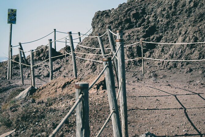Full Day Tour to Pompeii, Vesuvius and Wine Tasting - Bosco de Medici Winery: wine tasting, lunch time, and cost reality