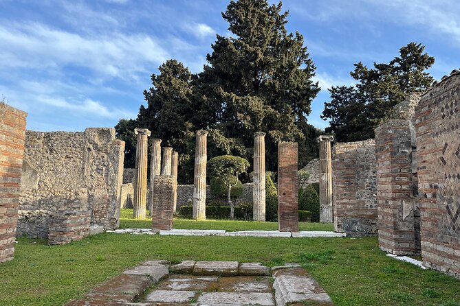 Full Day Tour to Pompeii, Vesuvius and Wine Tasting - Price and value: what you’re really paying for
