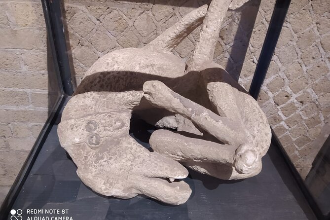 Guided Tours of Pompeii Excavations Historical and Cultural Itineraries - Pompeii, filtered through a guide who explains why it mattered