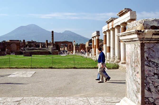 Half-Day Exclusive Private Tour of Pompeii and Herculaneum - The Pace and Logistics in a 4-Hour Window