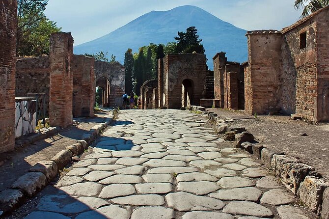 Half Day Tour to Pompeii from Ravello - Who This Pompeii Tour Is Best For
