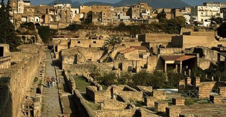 Herculaneum: 2hour Shared Guided Tour + entry tickets - Key highlights at a glance