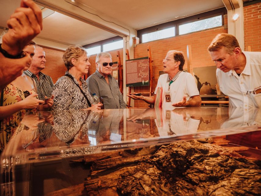 Herculaneum: Private Walking Tour with Archeologist Guide - Starting Point and Timing: How to Make the Two Hours Work