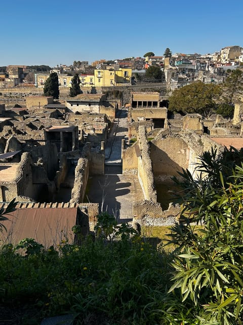 Herculaneum - Small Group Tour (admission included) - What 2 Hours Covers—and What You’ll Need to Add Yourself