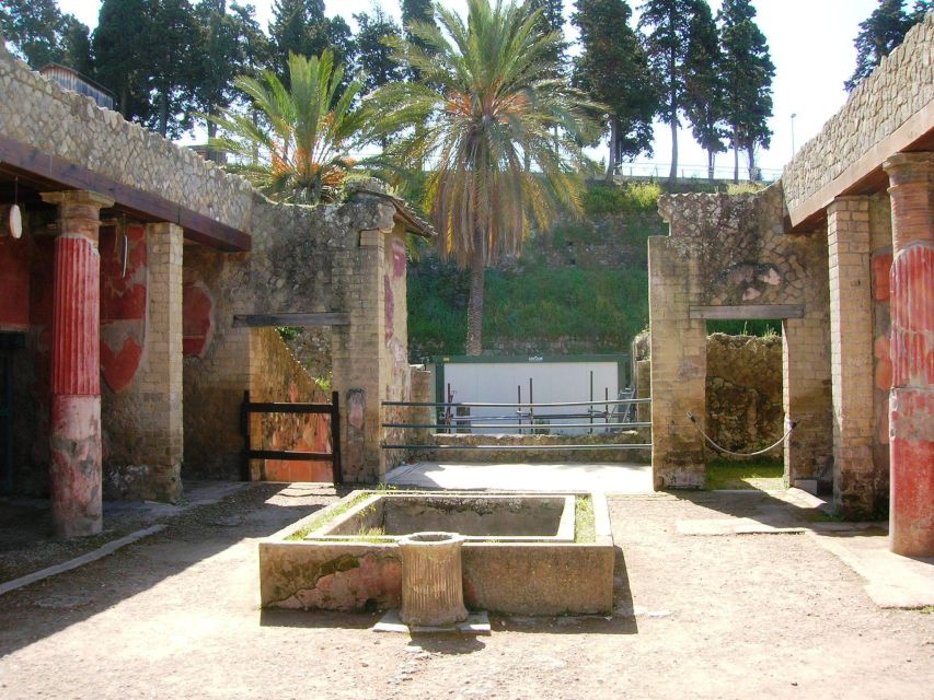 Herculaneum with an Archaelogical Guide & Ticket - Who this tour suits best (and who might feel rushed)