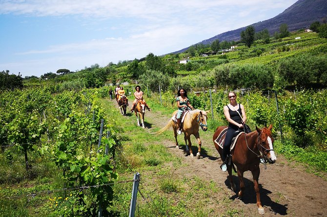 Horseback Riding on Vesuvius - How the 2-hour experience usually plays out