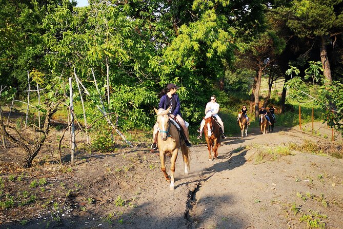 Horseback Riding on Vesuvius - After the ride: the farm atmosphere many people remember