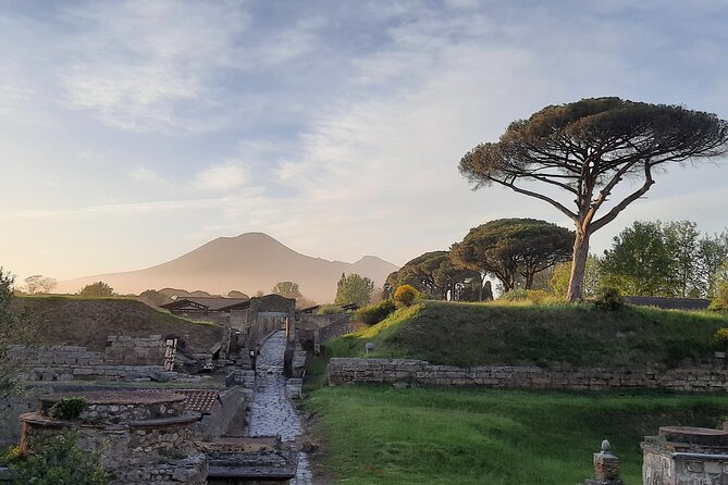 Late Afternoon Best time to visit Pompei on a private tour - Starting from Porta Marina and getting oriented fast