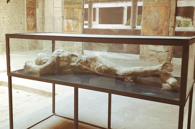 Late Afternoon Best time to visit Pompei on a private tour - House of Menander: art, status, and everyday decoration