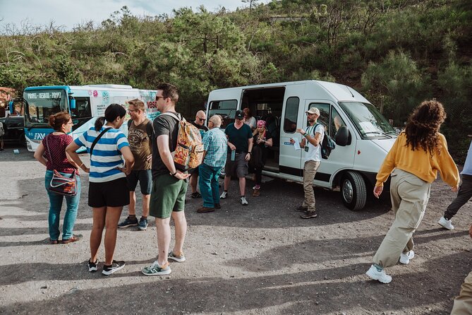 Mount Vesuvius Tour from Pompeii Led by an Expert Guide - Price and value versus DIY from Pompeii